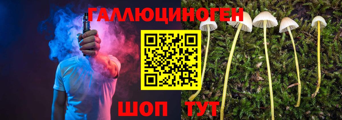 Псилоцибиновые грибы Magic Shrooms Ржев